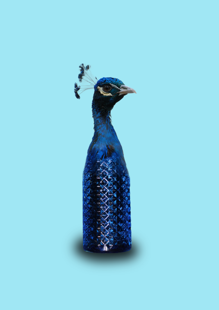 Photoshop pauw + fles